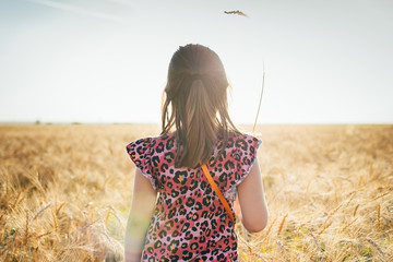 Little girl from the back on wheat field. Summer of autumn lifestyle