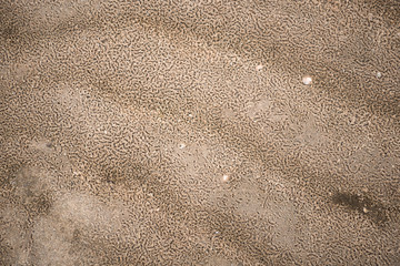 Ripples in wet sand background texture