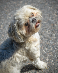 Do we have to wait a long time?