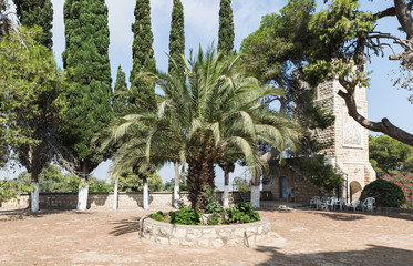 Decorative garden on the territory of the Greek Orthodox Monastery of the Transfiguration located...