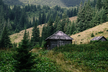 Foggy landscape near Blyznytsya mountain in the Carpathian mountains