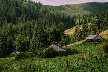 Foggy landscape near Blyznytsya mountain in the Carpathian mountains