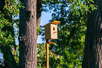 Wooden birdhouse on a Sunny day