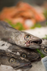 Pescado en punto de venta