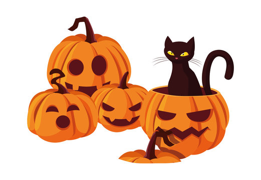 pumpkin cat happy halloween celebration
