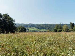 Schweizer Seenlandschaft - Rund um den Hallwilersee - Kanton Aargau - Wanderweg entlang des sees in Naturschutzgebiet und biotop zwischen Mosen und Aesch 