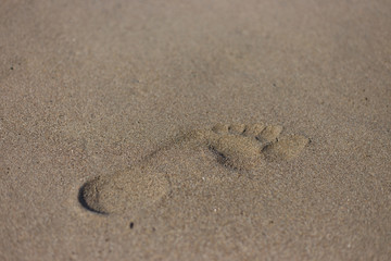 Fototapeta na wymiar footprint on a sandy beach