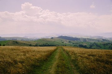 Romantik landscape in the mountain village in the Hutsul region Dovhopillya