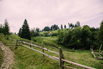 Fototapeta na wymiar Romantik landscape in the mountain village in the Hutsul region Dovhopillya