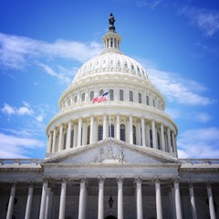 Obraz premium Washington DC. American landmark.