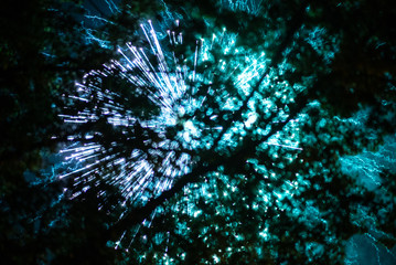 Turquoise fireworks in the night sky