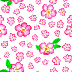 pattern pink rose hips. Roses seamless pattern. Watercolor.