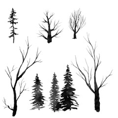 monochrome black forest, trees and branches, watercolor