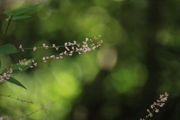feel nature