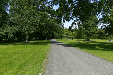 Pathway in a garden park, spring season