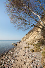 Europa, Deutschland, Mecklenburg-Vorpommern, Insel Rügen, Mönchgut,  Biosphärenreservat Südost-Rügen, Groß Zicker, Steilküste