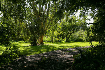 Fototapeta na wymiar Pathway in a garden park, spring season
