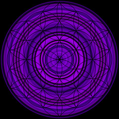 purple colored illustration of mandala