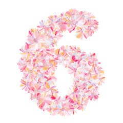 Number six filled with flowers in gentle coral colors. Floral font. Isolated fine detailed design element for advertising.