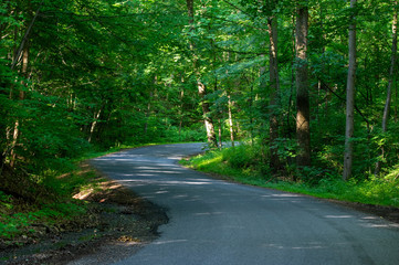 Fototapeta premium Back Country Road