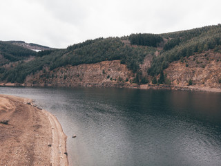 lake and forest from above