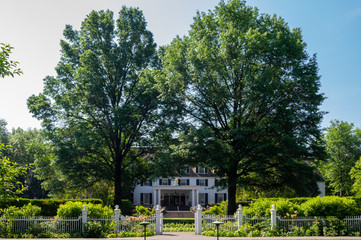 Mansion in the Trees