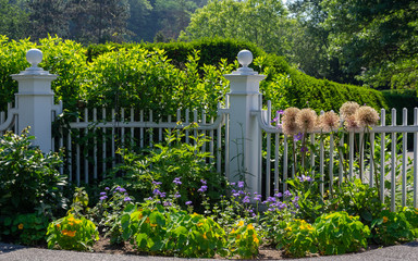 Naklejka premium Pickett Fence Flower Garden
