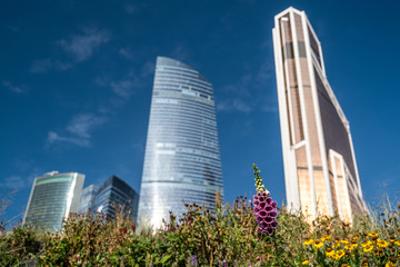 Naklejka premium futuristic modern skyscrapers of glass and metal grows from grass. Focus on buildings