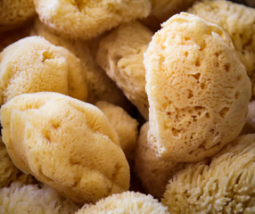 echte Schw&auml;mme die zum Duschen verwendet werden