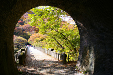 秋の碓氷第三橋梁、通称　めがね橋。安中　群馬　日本。１１月上旬。