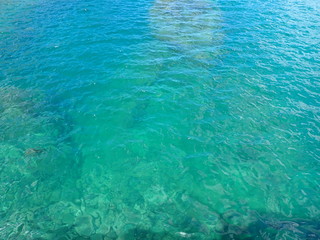 南伊豆　妻良でシュノーケル