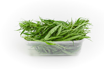 Lots of green leaves and cannabis herb marijuana in a plastic container isolated on white background.