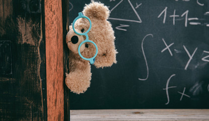 Cute teddy wearing glasses and black chalkboard with mathematics