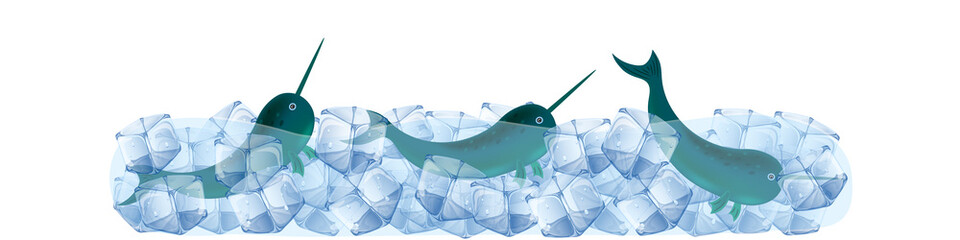 Narwhal in ice cubes cute vector illustration. © Artsergei