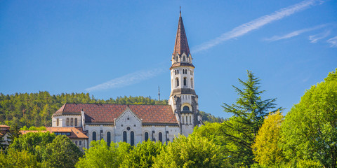Fototapeta na wymiar Basilique de la Visitation, a Catholic church in Annecy