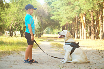 Portrait of cute blond boy hanging out with his pet friend labrador retriever out in the woods. Little guy standing six months old doggy, walk in a park. Background, copy space, close up.