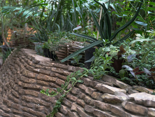 stone flower bed in the decorative greenhouse. the tropical greenhouse