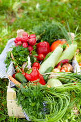 Rustic wooden case with ripe autumn vegetables. Carrot with tops, pink radish, red pepper, squash, cucumber, onion, garlik, pumpkins. Zero waste, no plastic, eco friendly