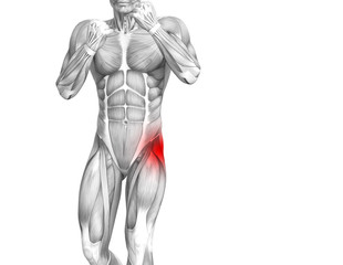 Conceptual hip human anatomy with red hot spot inflammation articular joint pain for leg health care therapy or sport muscle concepts. 3D illustration man arthritis or bone sore osteoporosis disease