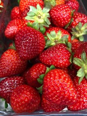 strawberries 