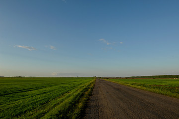 Fototapeta na wymiar old asphalt road through green fields at sunset