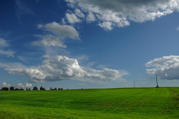 Fototapeta na wymiar green field and clouds