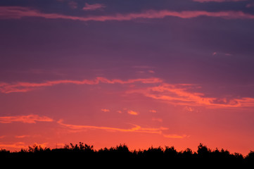 Obraz premium red sunset over the forest