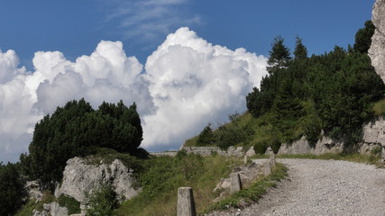 ambiente prealpino, Ledro, Trentino