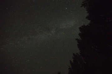 Night sky stars, milky way. Tree silhouette