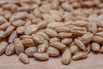 close up of barley on wood