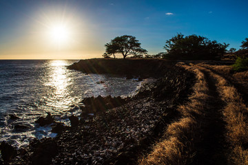 夕日に染まる海と道（マフコナビーチパーク）