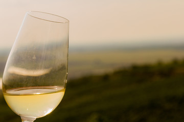 glass of white wine in vineyard
