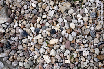 a lot of different sea colorful stones on the city street