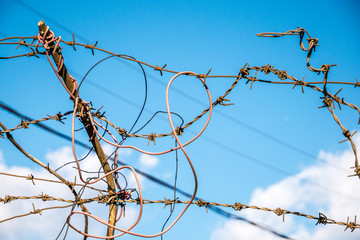 Barbed wire on the blue sky with clouds background.